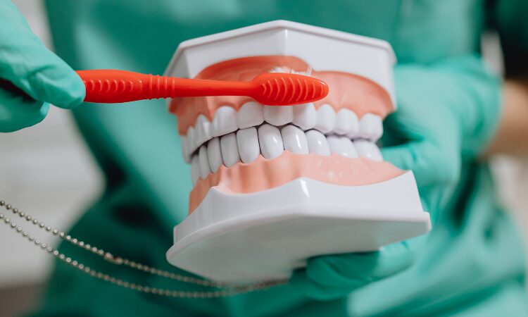 Several factors contribute to bleeding gums, ranging from poor oral hygiene to complex systemic conditions.